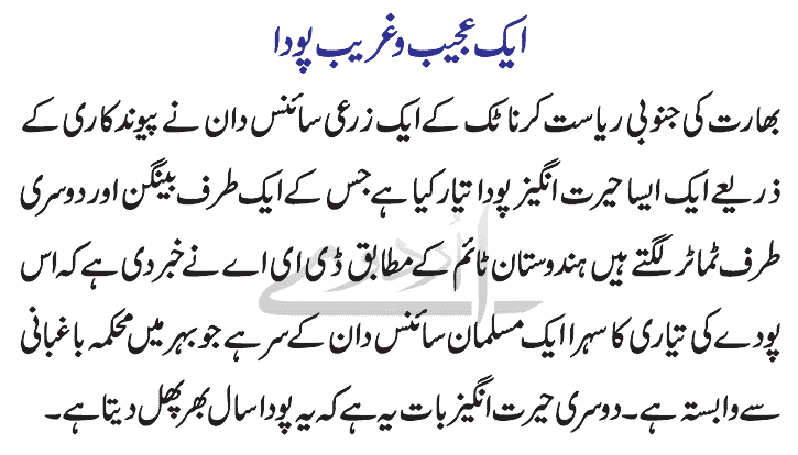 Strange Plant Facts - Aik Ajeeb O Ghareeb Pooda Urdu Main