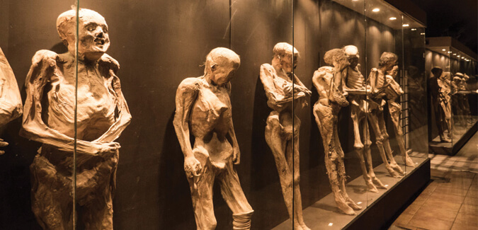 The Mummies Museum